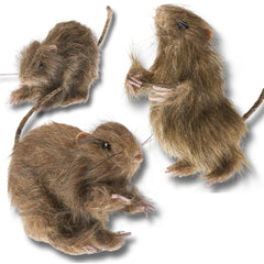 Prextex Realistic Furry Fake Rats for Best Halloween Decoration: Halloween Fake Rats Realistic Rats Halloween Trick Toys Decoration Party Props etc.